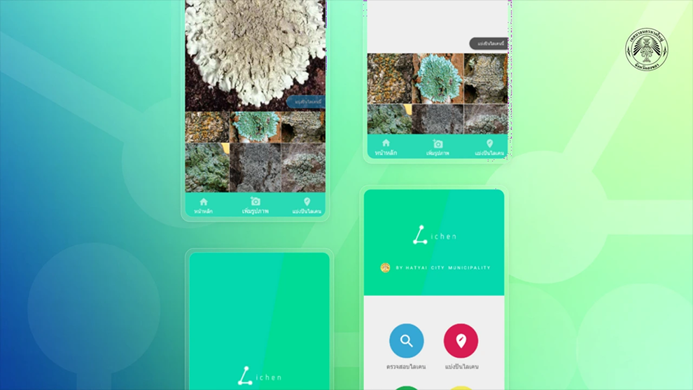 Lichen Environmental